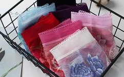 英语课代表的胸软软的!